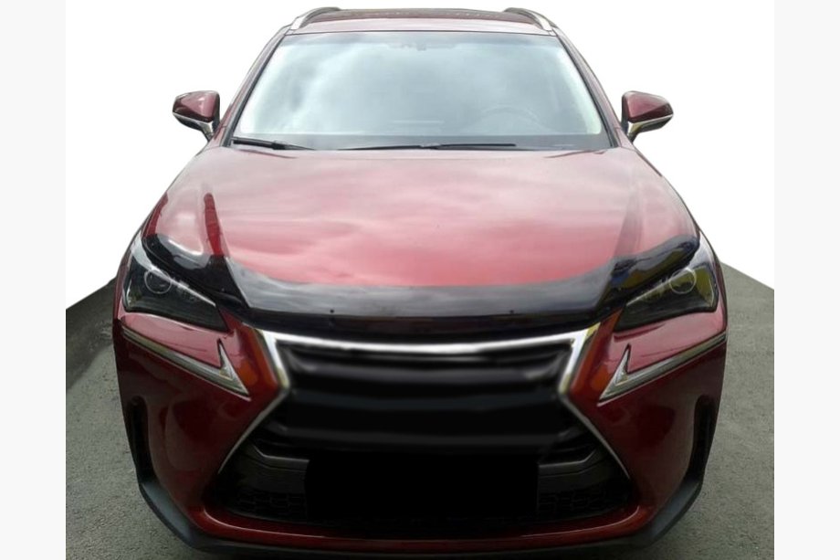 Lexus NX 2014-2021 Deflector de capó 2014+ (SIM) Image