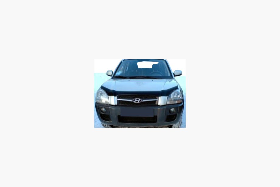 Hyundai Tucson JM 2004- Deflector de capó (SIM) Image