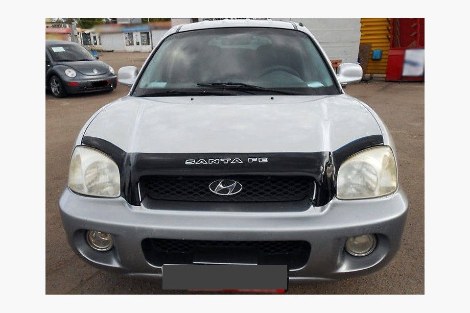Hyundai Santa Fe 1 2000-2006 Deflector de capó (VIP) Image