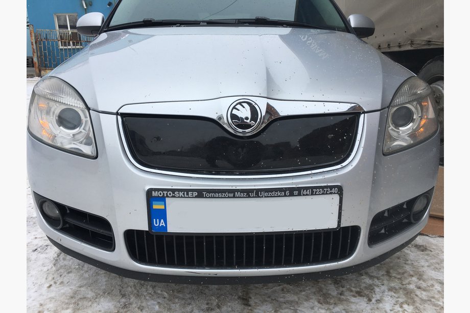 Skoda Fabia 2007-2014 Cubierta de rejilla de invierno (2007-2010, superior) Image