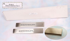 Nissan Interstar 2002-2010 Cubiertas de Umbral Natanika Standard (2 uds, Acero Inoxidable) foto 1