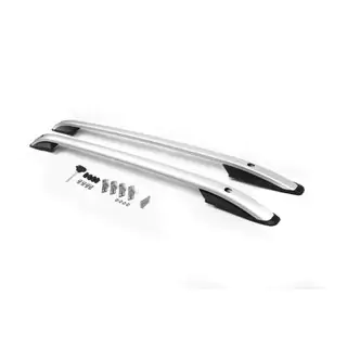 Barras de Techo Skyport GREY