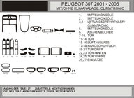 Peugeot 307 2001-2008 Tuning interior (Hartman) Azul foto 1