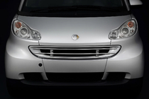 Smart 2007-2014 Protector de parrilla delantera foto 1
