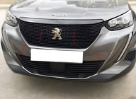 Peugeot 2008 2019- Embellecedores de parrilla (3 uds, acero inoxidable) foto 1