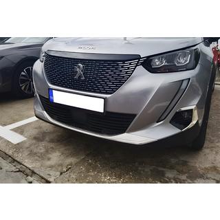 Cubierta para faros antiniebla (2 uds, acero inoxidable)
