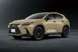 Lexus NX Overtrail: modificación para todoterreno ligero foto 3