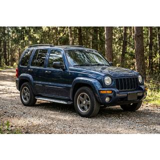 Estribos Laterales Shining V1 (2 uds., Aluminio) Jeep Cherokee/Liberty 2002-2007 foto 1