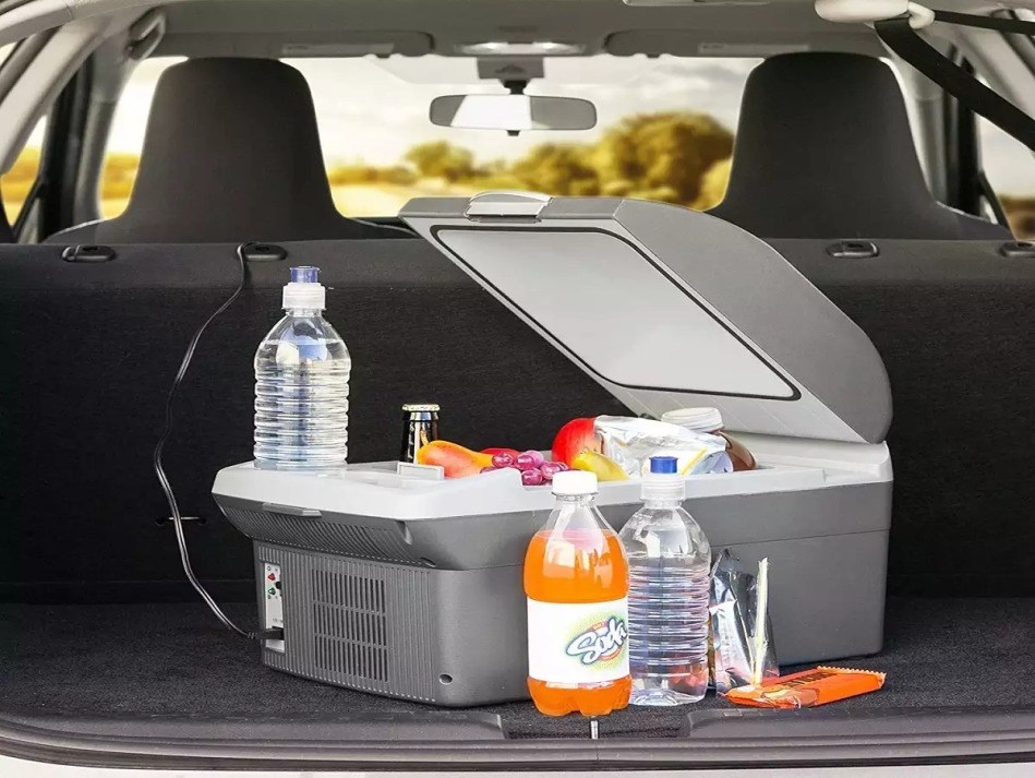 Cómo elegir un frigorífico para coche: criterios y recomendaciones importantes