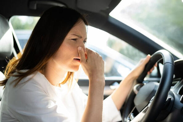 ¿Cómo neutralizar eficazmente el olor desagradable en el interior del coche? Foto 1