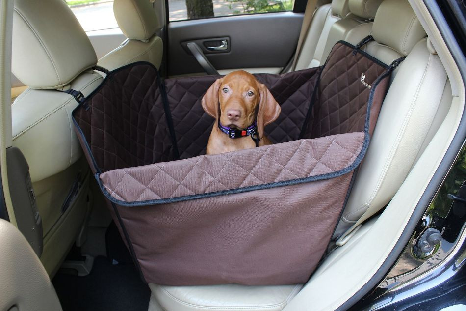 Cómo transportar correctamente a un perro en coche: consejos y recomendaciones