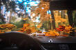 Cómo preparar tu coche para el otoño foto 1