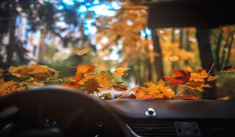 Cómo preparar tu coche para el otoño