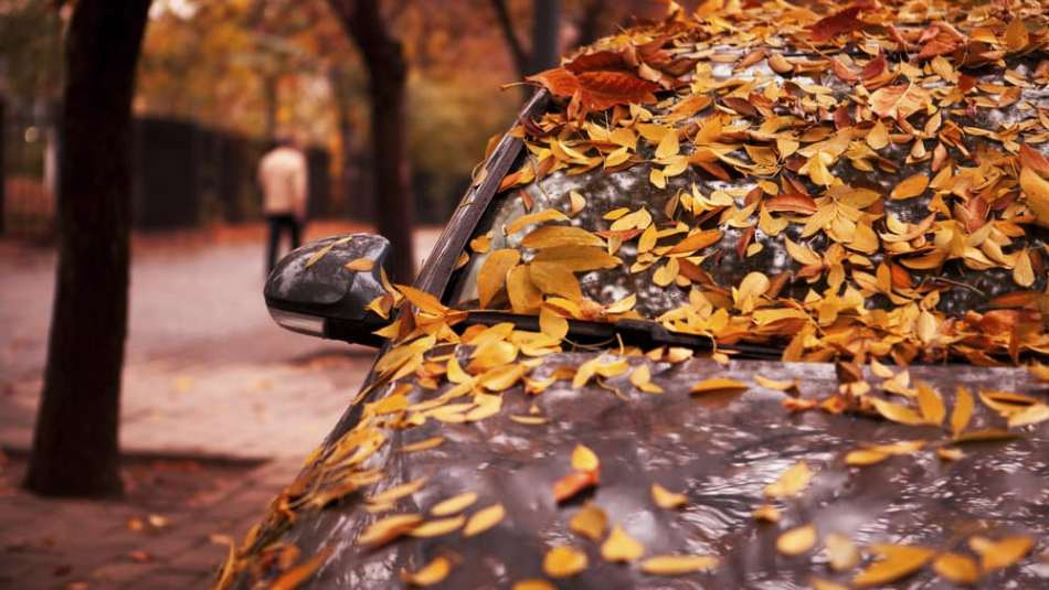 ¿Cómo cuidar un coche en otoño?