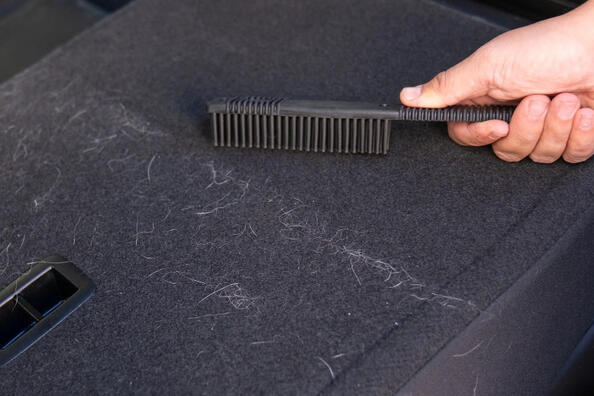 Trucos para limpiar el pelo de las mascotas en el coche