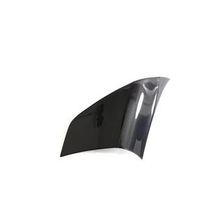 Cubiertas de panel trasero lateral de carbono (Cabriolet) Audi ТТ 2006-2014 foto 4