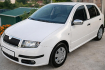 Skoda Fabia 2000-2007 Cubiertas de Espejos 2006↗ (2 uds, Acero Inoxidable) foto 1