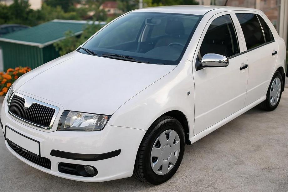 Skoda Fabia 2000-2007 Cubiertas de Espejos 2006↗ (2 uds, Acero Inoxidable) Image