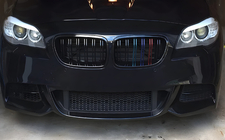 BMW X1 E84 2009-2015 Riñoneras M-Look (M-Color) foto 1
