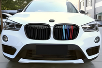 BMW X1 F48 2015-2022 Riñoneras M-Look (2015-2019, M-Color) foto 1