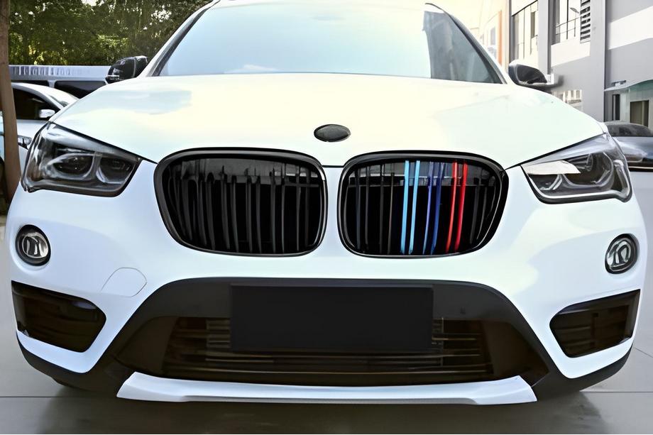 BMW X1 F48 2015-2022 Riñoneras M-Look (2015-2019, M-Color) Image