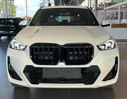 BMW X1/iX1 (U11) 2022- Parrilla Riñón 1 Barra (Negro Brillante) foto 1