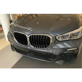 Riñones 1 Barra (2019-2022, Negro Brillante con Marco Cromado) BMW X5 G05 2019–2026 foto 1