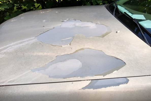 ¿Por qué se está descascarando la pintura de un coche?