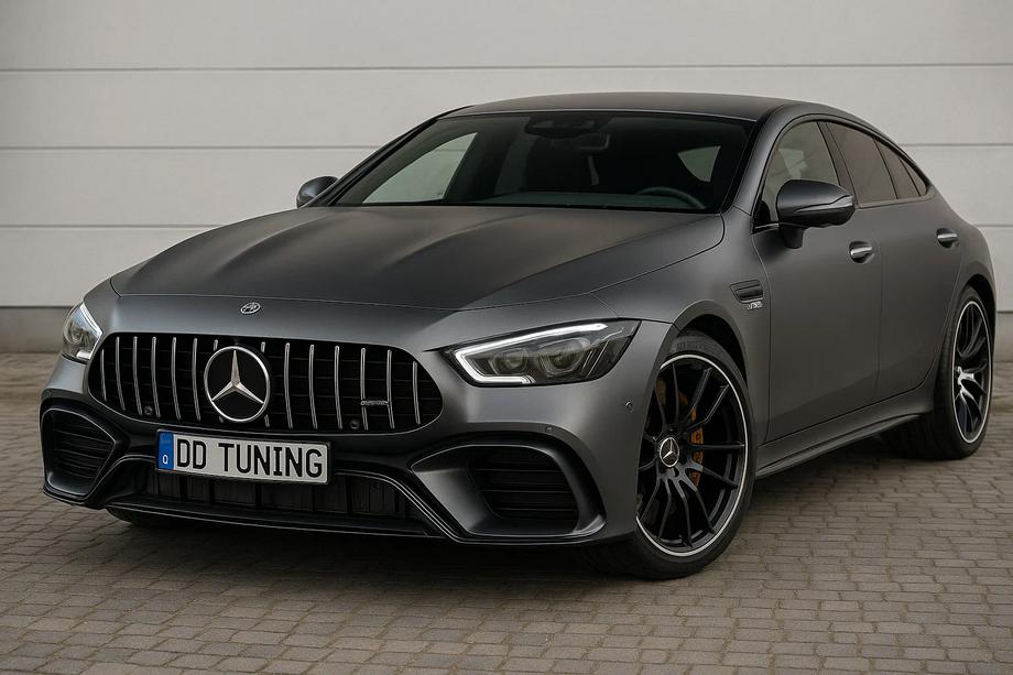 Mercedes AMG GT 4 X290 2018- Parrilla Delantera GT Panamericana (2018-2022) Foto 1