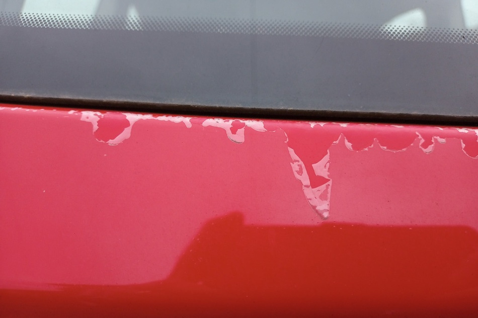 ¿Por qué la pintura de un coche pierde su apariencia y se descascara?