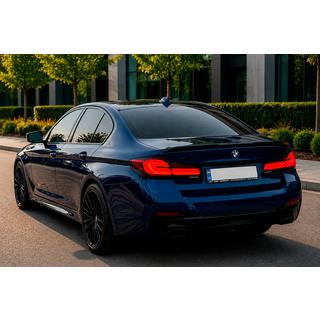 Faldones laterales M-Sport/M5 BMW Serie 5 G30/G31 2017–2023 foto 2