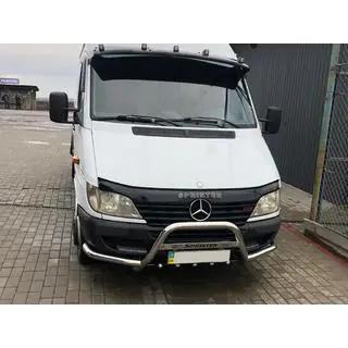 Defensa delantera Exclusive (acero inoxidable) foto 1
