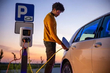 El coche eléctrico se quedó sin energía en la carretera: ¿qué hacer? foto 1