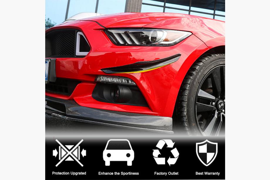 Ford Mustang 2015-2023 Labio de parachoques delantero (2015-2017, Carbono) Foto 2
