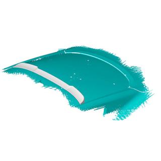 Visera de Spoiler (Carbono) foto 3