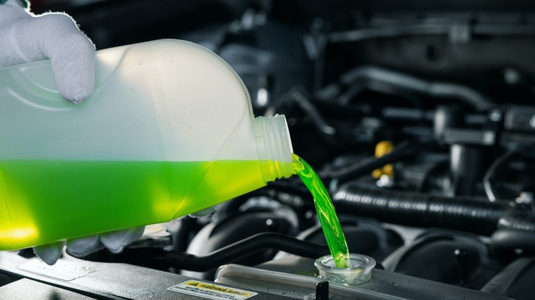 Cómo no equivocarse al elegir anticongelante para el coche