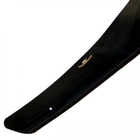 Lexus RX 2003-2009 Deflector de capó (HIC) foto 2
