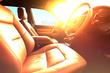 ¿Qué es lo que no se debe dejar bajo ninguna circunstancia en el coche cuando hace calor? foto 1