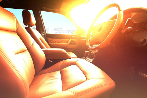 ¿Qué es lo que no se debe dejar bajo ninguna circunstancia en el coche cuando hace calor?
