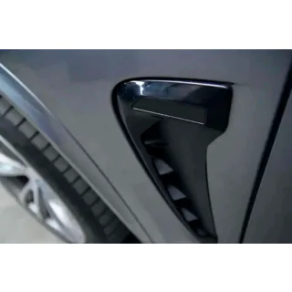 Branquias estilo Black X5M F85