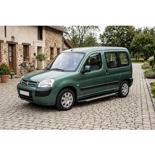 Estribos Laterales Duru (2 uds., Aluminio) Citroen Berlingo 1996-2008 foto 1