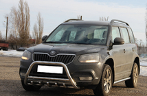 Skoda Yeti 2009-2017 Defensa Delantera WT003 (Acero Inoxidable) foto 3