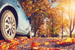 Preparar el coche para el otoño: ¿una necesidad o una pérdida de tiempo? foto 1