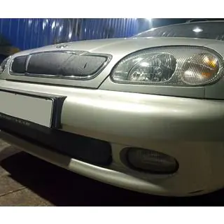 Cubierta de rejilla de invierno (superior) Daewoo Lanos 1998-2017 foto 4
