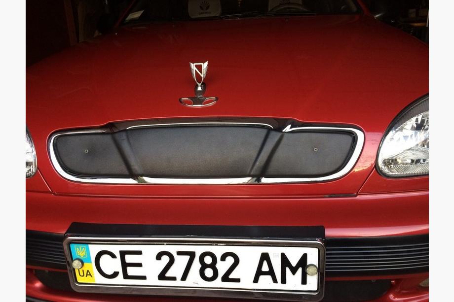 Daewoo Lanos 1998-2017 Cubierta de rejilla de invierno (superior) brillante Foto 3