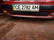 Daewoo Lanos 1998-2017 Cubierta de invierno para parrilla (inferior) Mate foto 2