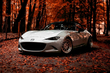 Cuidado del coche en otoño: 5 reglas importantes foto 1