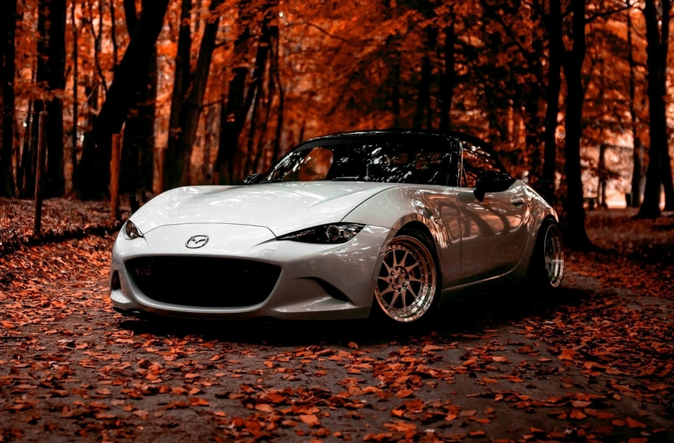 Cuidado del coche en otoño: 5 reglas importantes