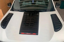 Renault Duster 2024- Alerón de Capó (Brillante) foto 3