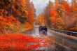 Qué peligros trae el otoño para los conductores foto 1